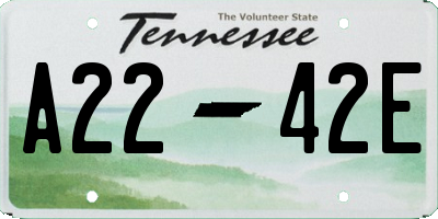 TN license plate A2242E
