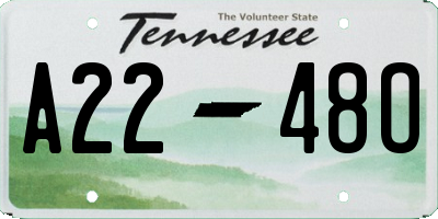 TN license plate A2248O