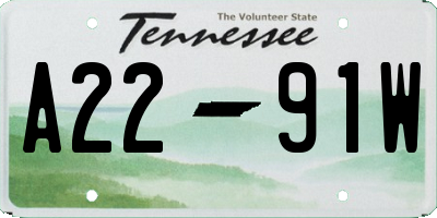 TN license plate A2291W