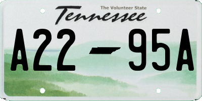 TN license plate A2295A