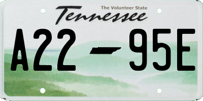 TN license plate A2295E