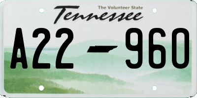 TN license plate A2296O
