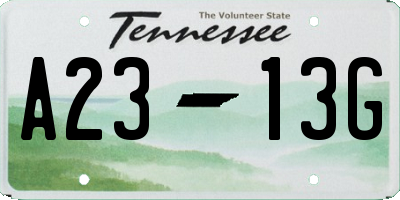 TN license plate A2313G