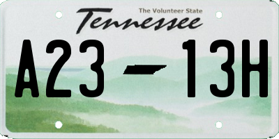 TN license plate A2313H