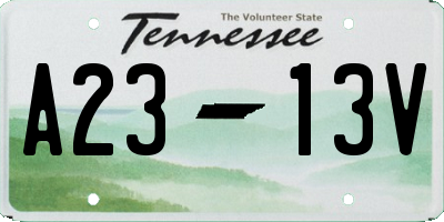 TN license plate A2313V
