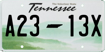 TN license plate A2313X