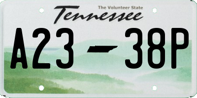 TN license plate A2338P