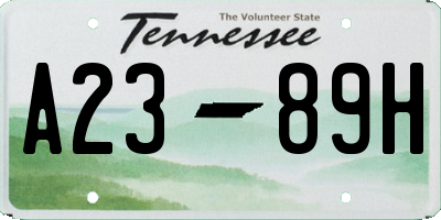 TN license plate A2389H