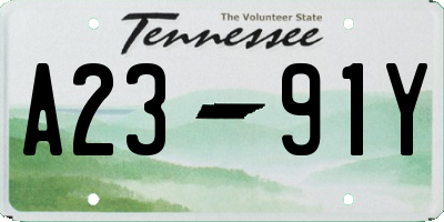 TN license plate A2391Y