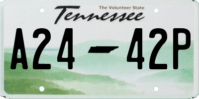 TN license plate A2442P