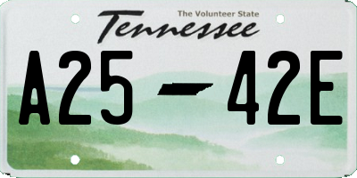 TN license plate A2542E