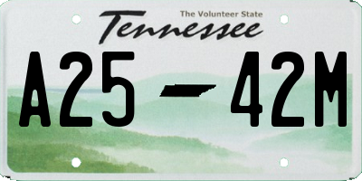 TN license plate A2542M