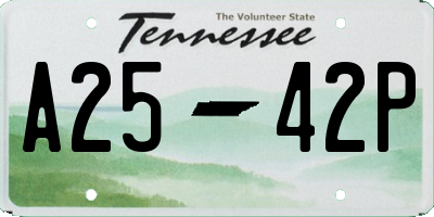 TN license plate A2542P