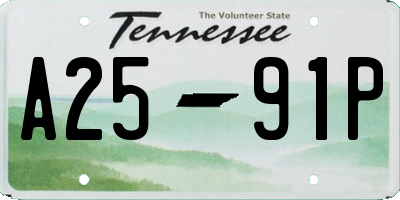 TN license plate A2591P