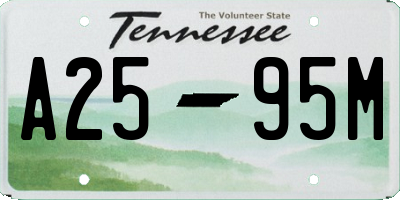 TN license plate A2595M