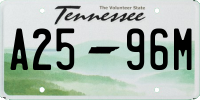 TN license plate A2596M
