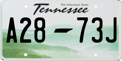 TN license plate A2873J