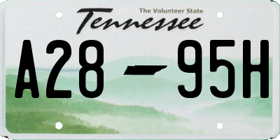 TN license plate A2895H