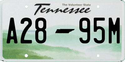 TN license plate A2895M