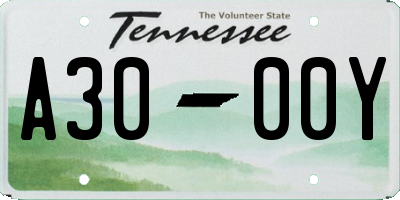 TN license plate A3000Y