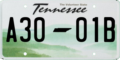 TN license plate A3001B