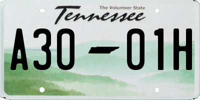 TN license plate A3001H