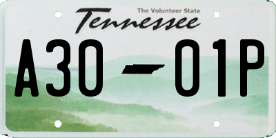 TN license plate A3001P