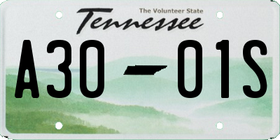 TN license plate A3001S