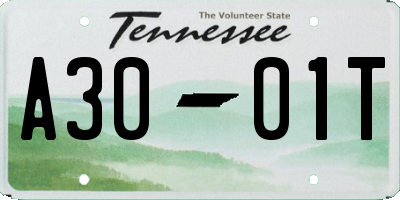 TN license plate A3001T