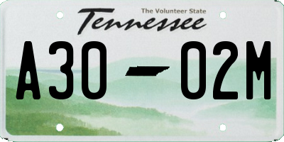 TN license plate A3002M