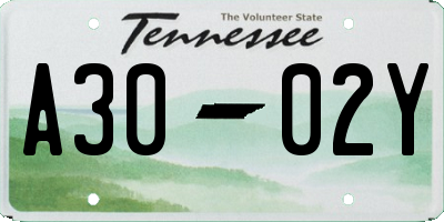 TN license plate A3002Y