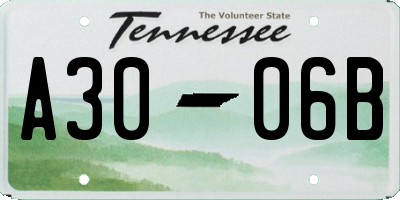 TN license plate A3006B