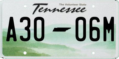 TN license plate A3006M