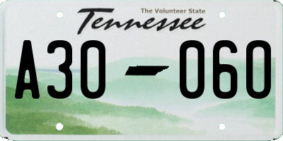 TN license plate A3006O