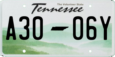 TN license plate A3006Y