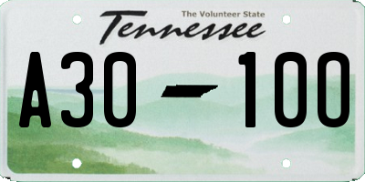 TN license plate A3010O