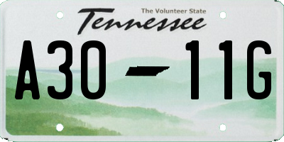 TN license plate A3011G