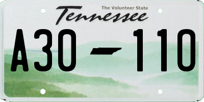 TN license plate A3011O