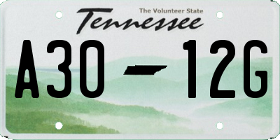 TN license plate A3012G