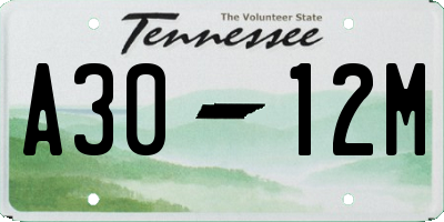 TN license plate A3012M