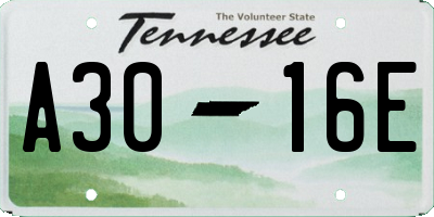 TN license plate A3016E