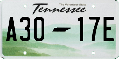 TN license plate A3017E