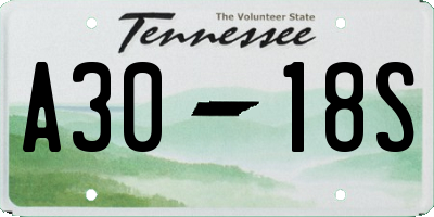 TN license plate A3018S