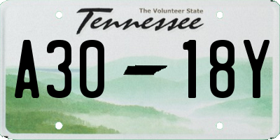 TN license plate A3018Y