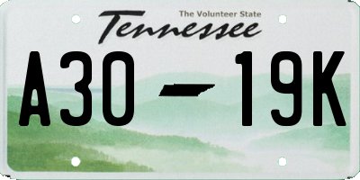 TN license plate A3019K