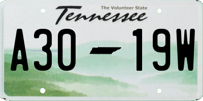 TN license plate A3019W