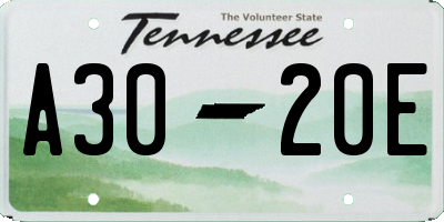 TN license plate A3020E