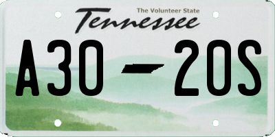 TN license plate A3020S