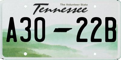 TN license plate A3022B