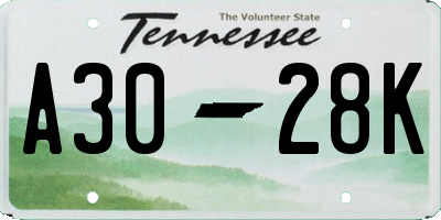 TN license plate A3028K
